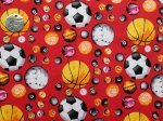 Diverse soorten Sportballen op rode ondergrond