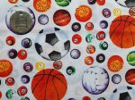 Diverse soorten Sportballen op witte ondergrond